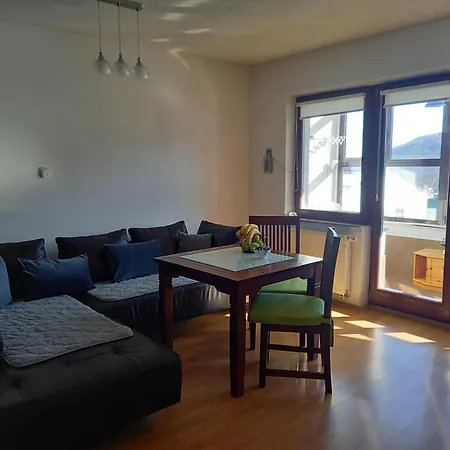 Apartment Lion King *